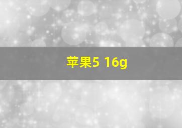 苹果5 16g